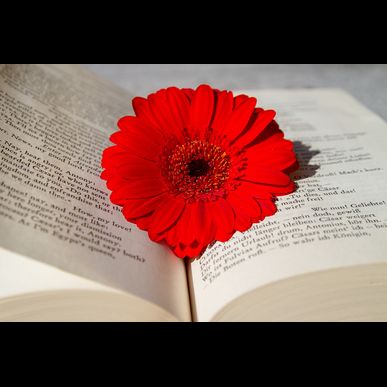 アルボグランデの1時間ヘッドスパで究極リラックス